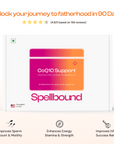 CoQ10 Support - Spellbound