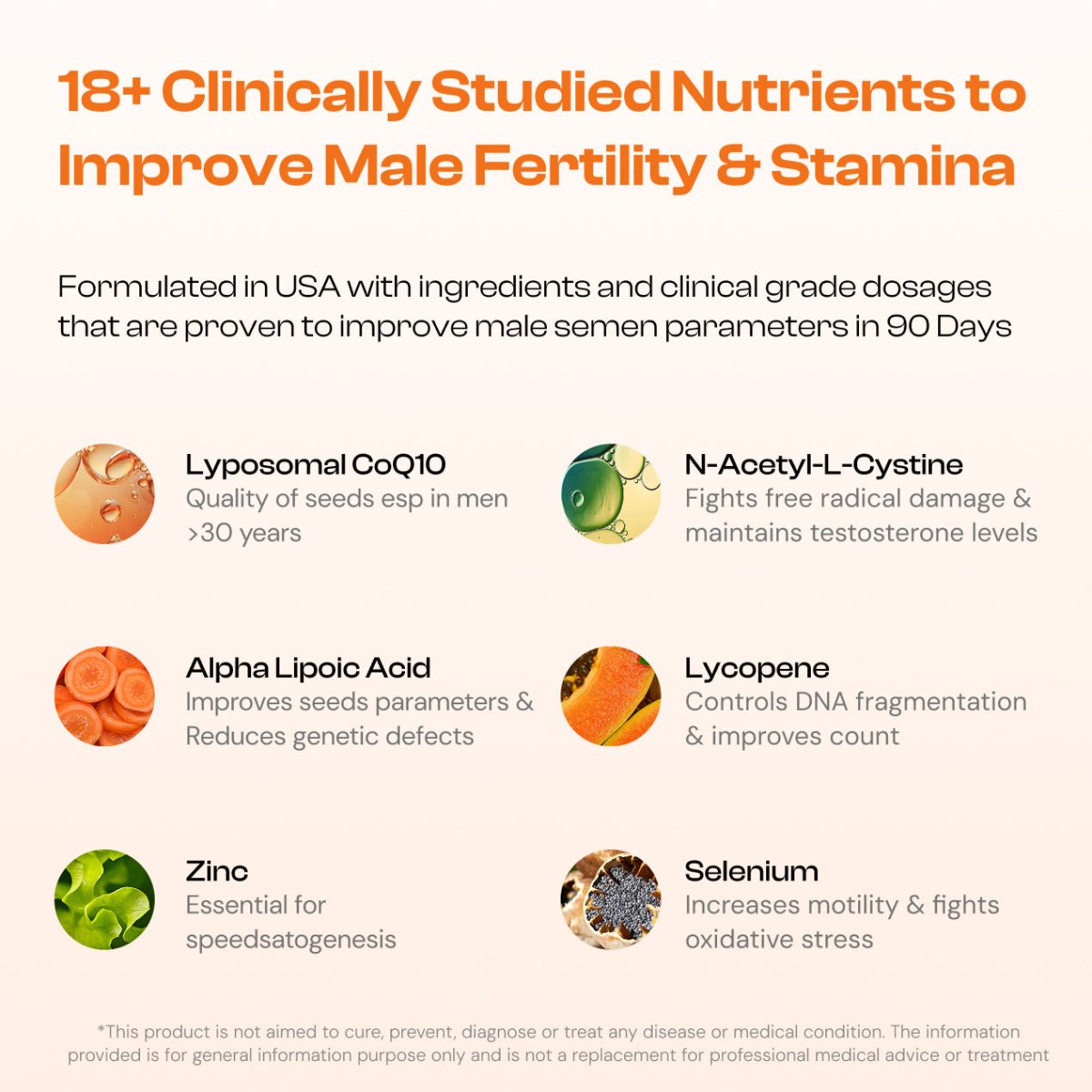 CoQ10 Support - Spellbound